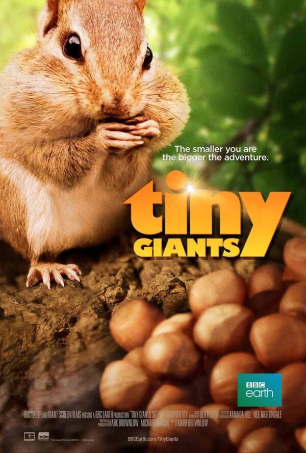 The movie poster for tiny giants.